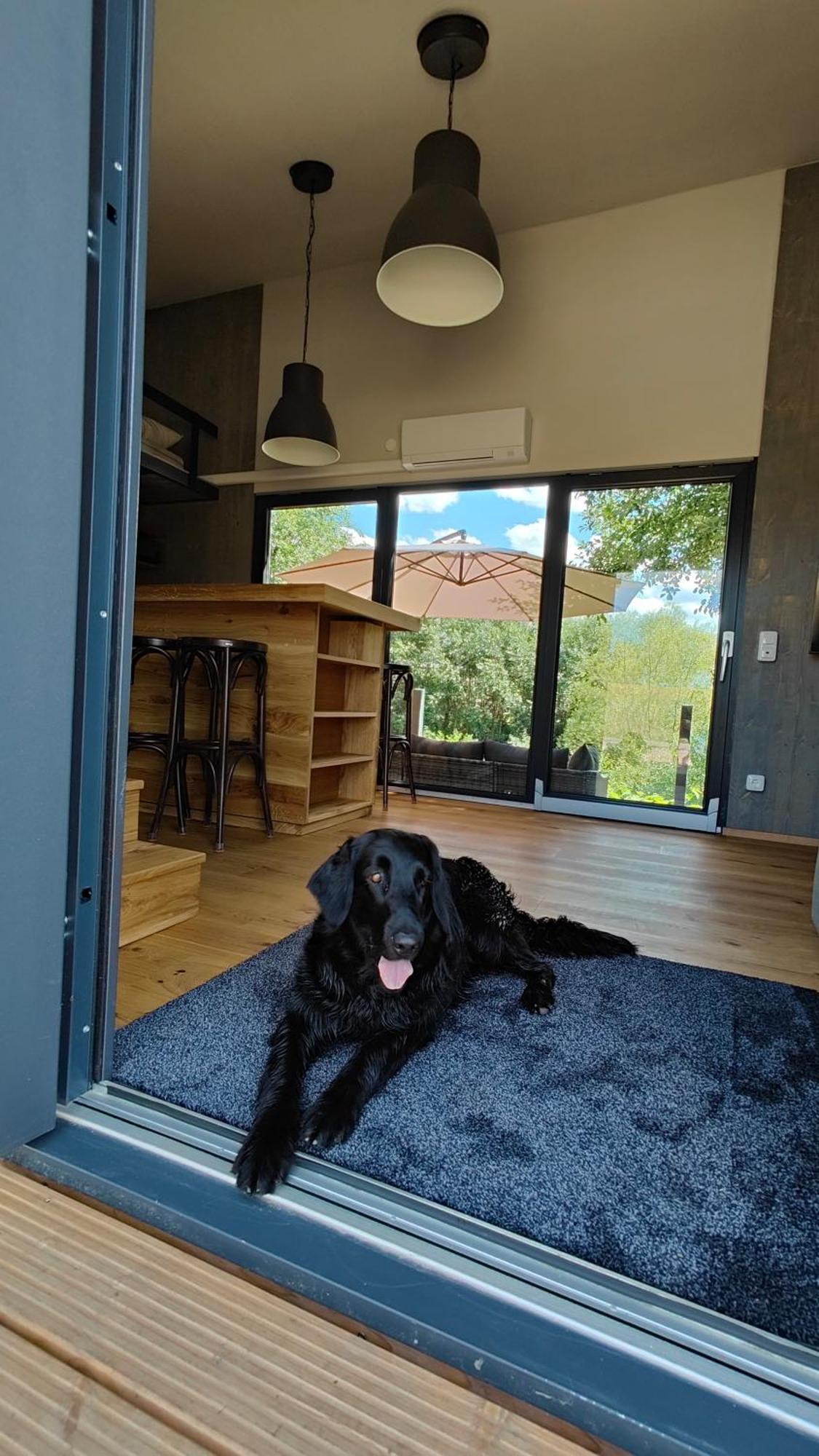 הוילה Großharthau Tinyhousebeidresden 3 Fuer 2 - 7 Personen, Naehe Saechsische Schweiz, Dresden, Mit Badeteich מראה חיצוני תמונה