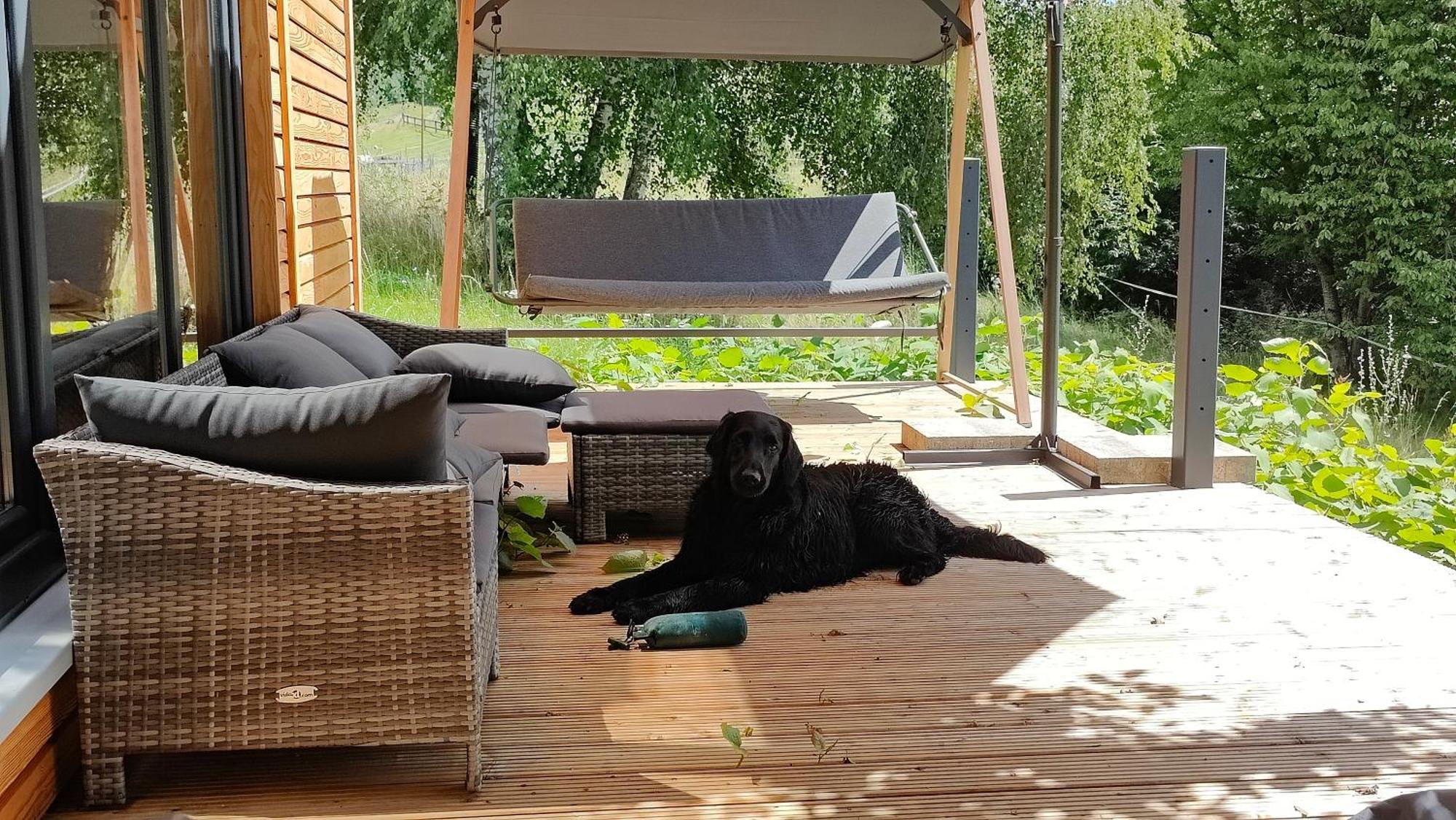 הוילה Großharthau Tinyhousebeidresden 3 Fuer 2 - 7 Personen, Naehe Saechsische Schweiz, Dresden, Mit Badeteich מראה חיצוני תמונה